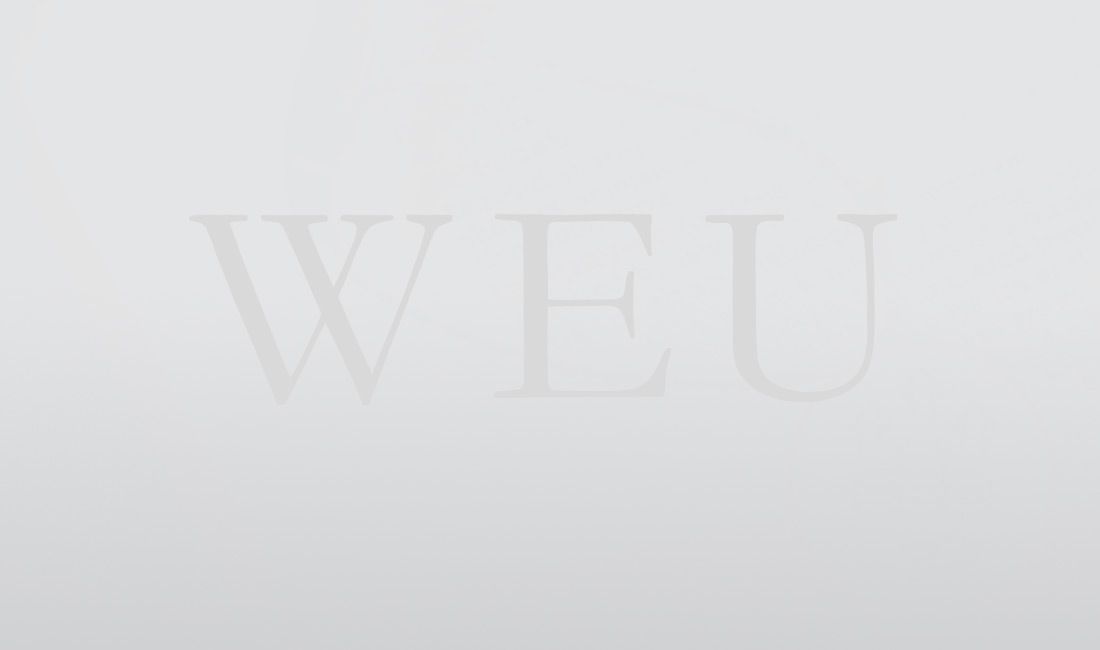 sample-img-2aa1f105 WEU